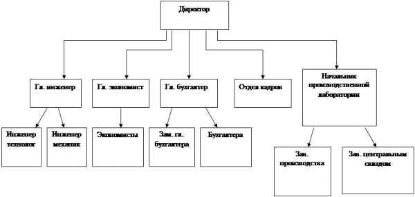  организационная структура управления предприятием  1